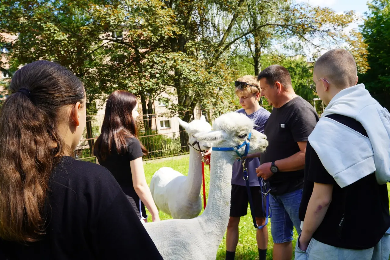 Fot. Materiały Urzędu Miasta Rzeszów