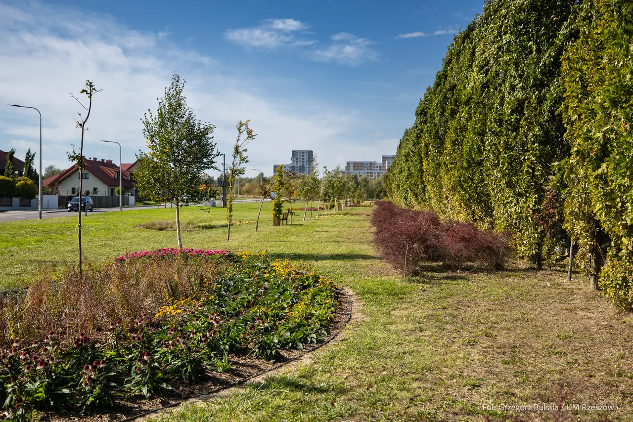 Fot. Grzegorz Bukala / UM Rzeszow