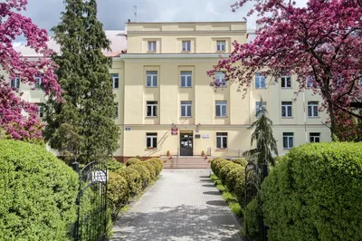 Fot. Materiały prasowe