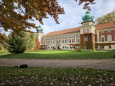 Fot. Joanna Garbulińska-Charchut / Muzeum - Zamek w Łańcucie